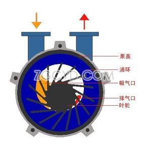  SZ型水環(huán)式真空泵結(jié)構(gòu)