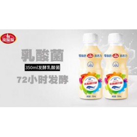 商超加盟乳酸菌飲品350ml12瓶裝江西